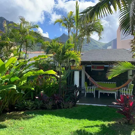 La Selvita باجامار