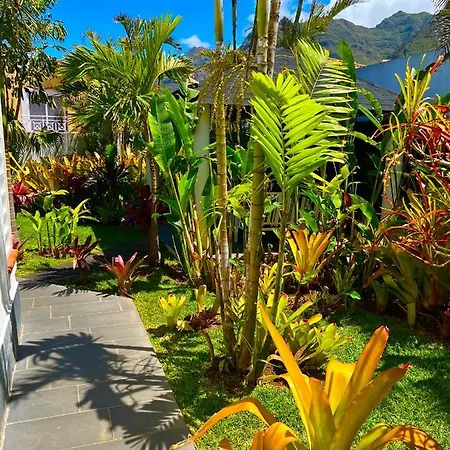 La Selvita باجامار