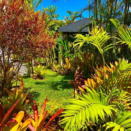 منزل للإقامة La Selvita باجامار