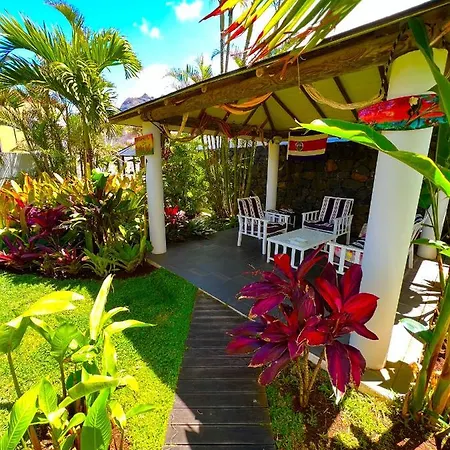 La Selvita باجامار