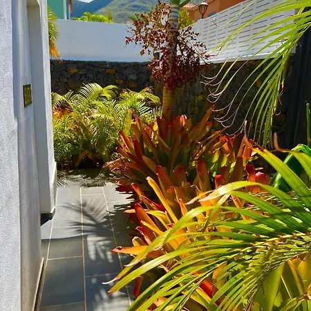 La Selvita منزل للإقامة *