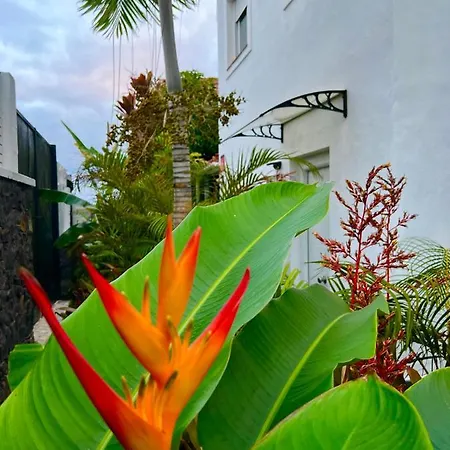 La Selvita منزل للإقامة باجامار