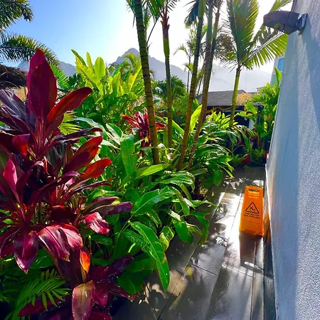 La Selvita منزل للإقامة *