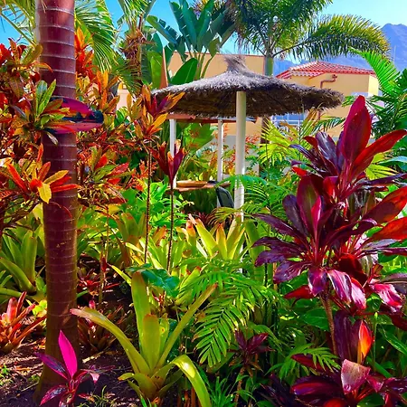 La Selvita Kwatera prywatna Bajamar (La Laguna)