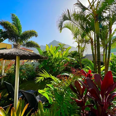 La Selvita * باجامار