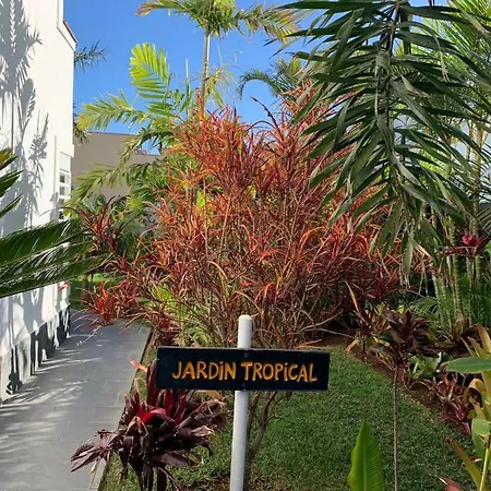 La Selvita منزل للإقامة *