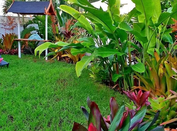 La Selvita Bajamar (La Laguna)