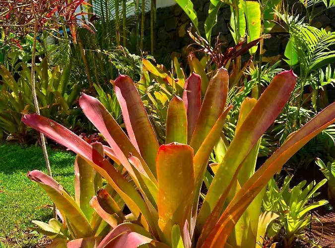 منزل للإقامة La Selvita *