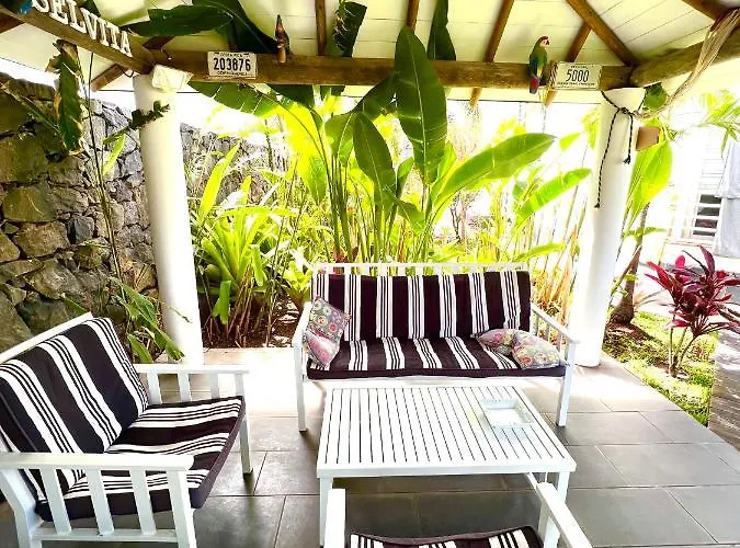 Accommodatie bij particulieren La Selvita Bajamar (La Laguna)