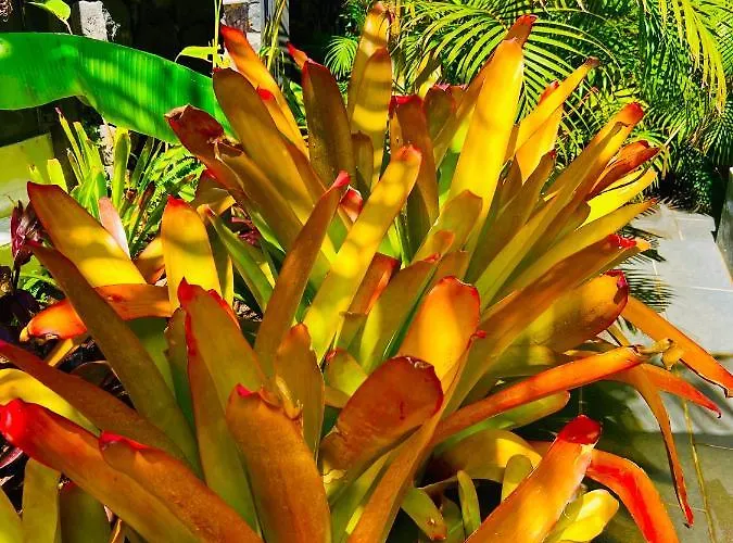 La Selvita Kwatera prywatna *