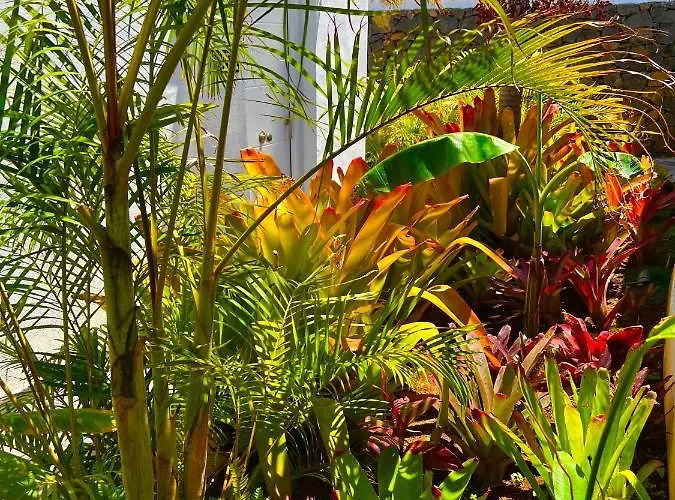 La Selvita منزل للإقامة *