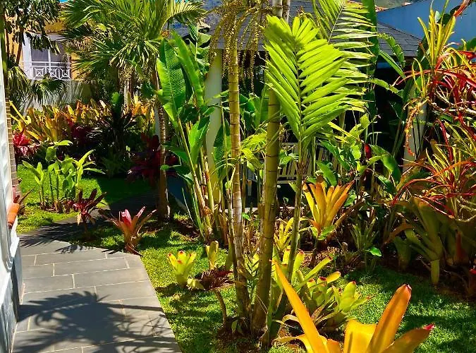 La Selvita باجامار