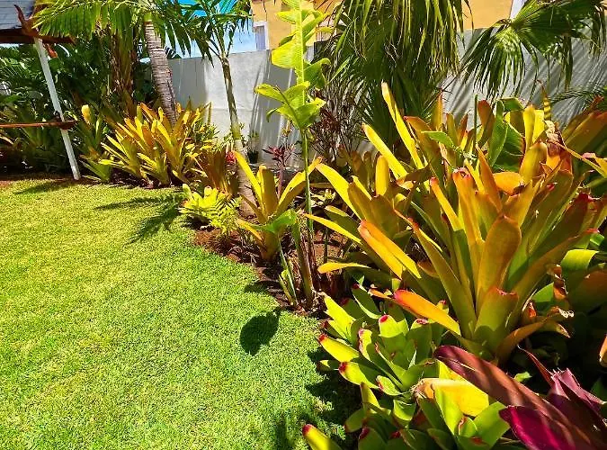 La Selvita Bajamar (La Laguna)