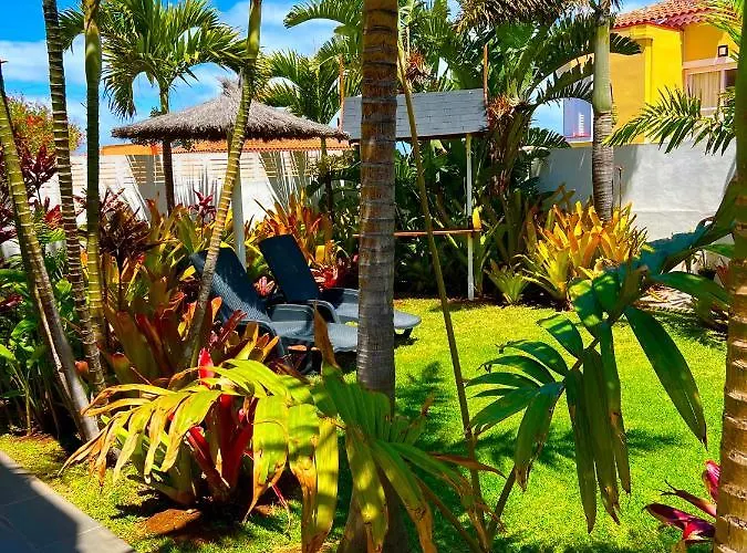 La Selvita باجامار