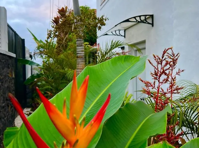 La Selvita Kwatera prywatna Bajamar (La Laguna)