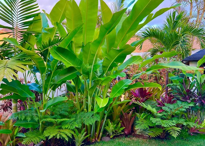 Séjour chez l'habitant La Selvita