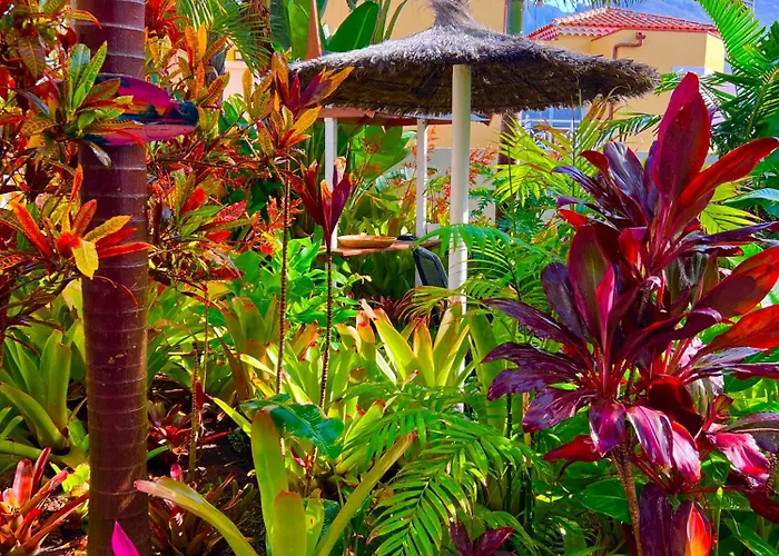 La Selvita Séjour chez l'habitant Bajamar (La Laguna)