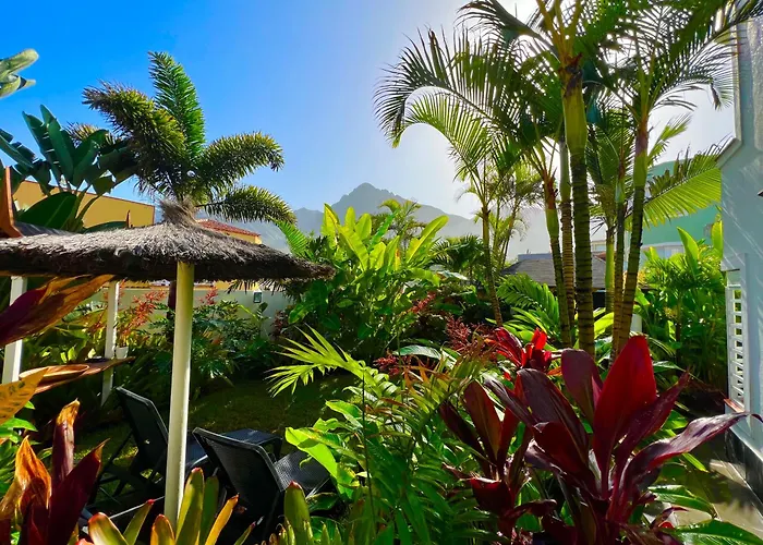 La Selvita * Bajamar (La Laguna)