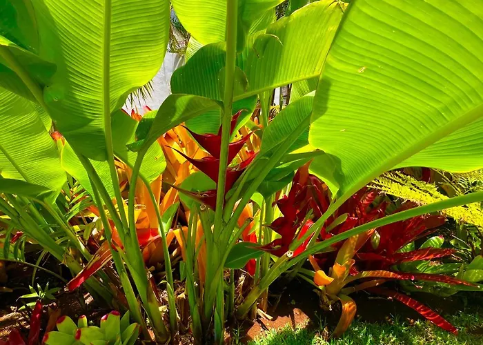 Séjour chez l'habitant La Selvita