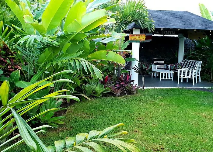 La Selvita Séjour chez l'habitant Bajamar (La Laguna)