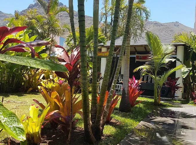 Séjour chez l'habitant La Selvita Bajamar (La Laguna)