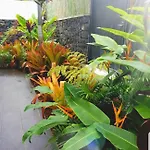 La Selvita * Bajamar (La Laguna)