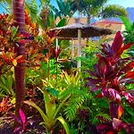 La Selvita Accommodatie bij particulieren Bajamar (La Laguna)