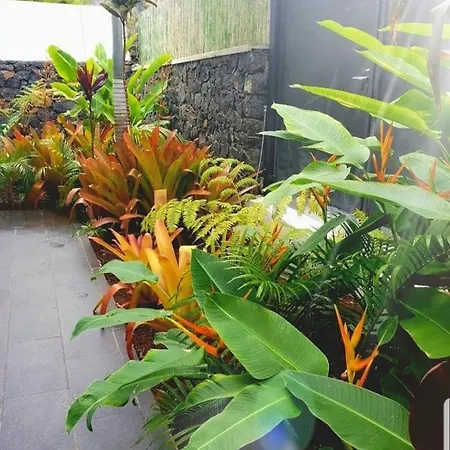 La Selvita * Bajamar (La Laguna)