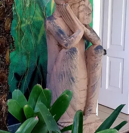 La Selvita * Bajamar (La Laguna)