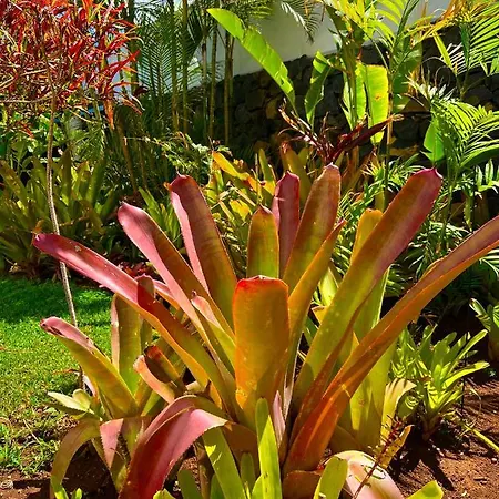 Kwatera prywatna La Selvita *