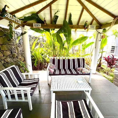 Privatunterkunft La Selvita Bajamar (La Laguna)