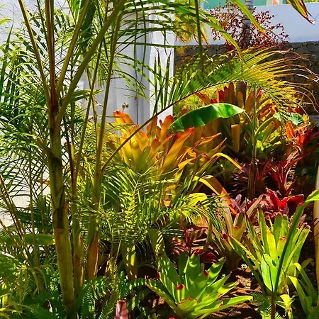 La Selvita Rum i privatbostad *