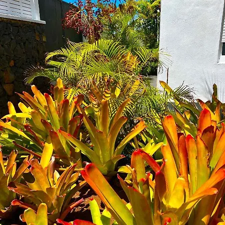 La Selvita Kwatera prywatna *