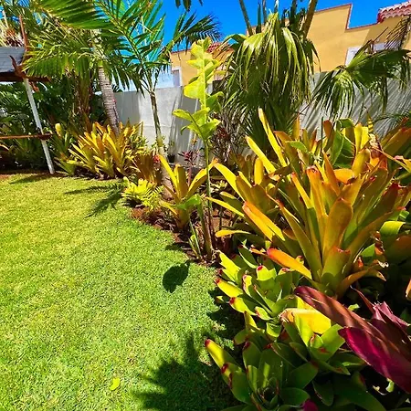 La Selvita Bajamar (La Laguna)