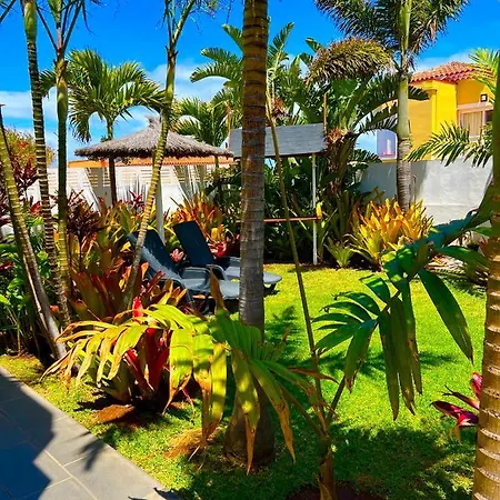 La Selvita Bajamar (La Laguna)