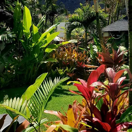 Kwatera prywatna La Selvita *