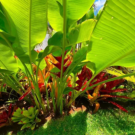 Rum i privatbostad La Selvita