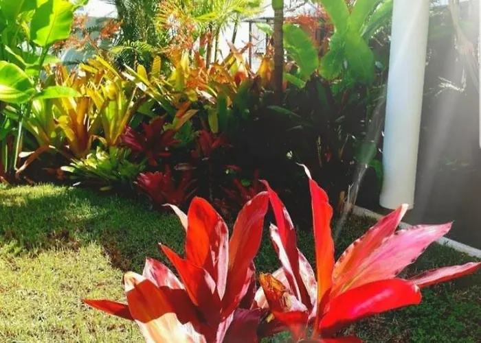 Ubytování v soukromí La Selvita Bajamar (La Laguna)