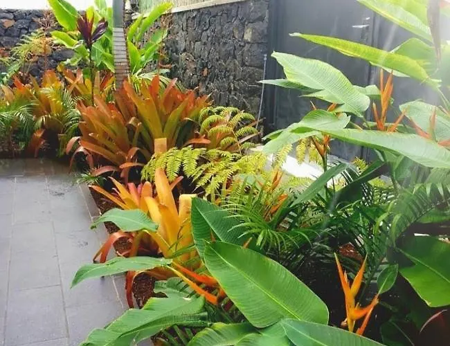 La Selvita * Bajamar (La Laguna)