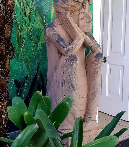 La Selvita * Bajamar (La Laguna)