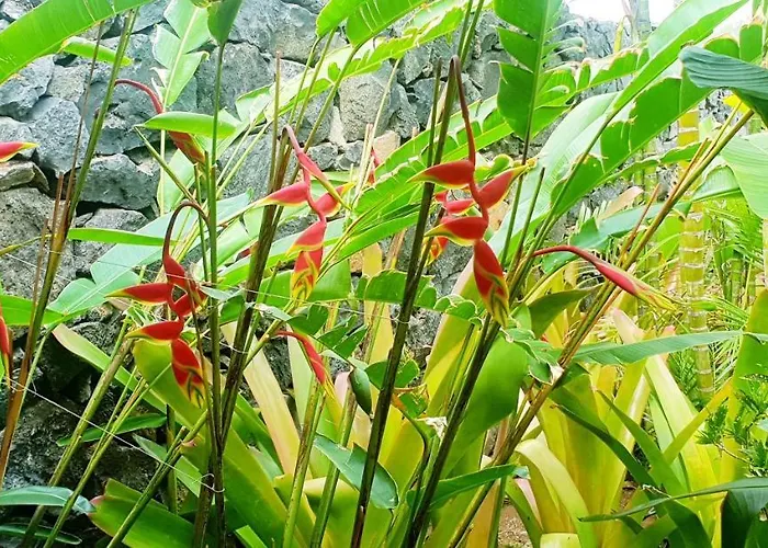 La Selvita Ubytování v soukromí *