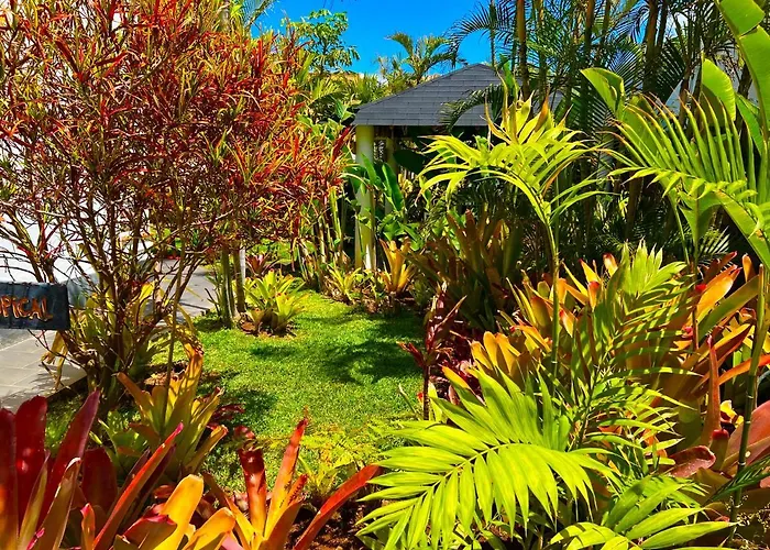 Ubytování v soukromí La Selvita Bajamar (La Laguna)