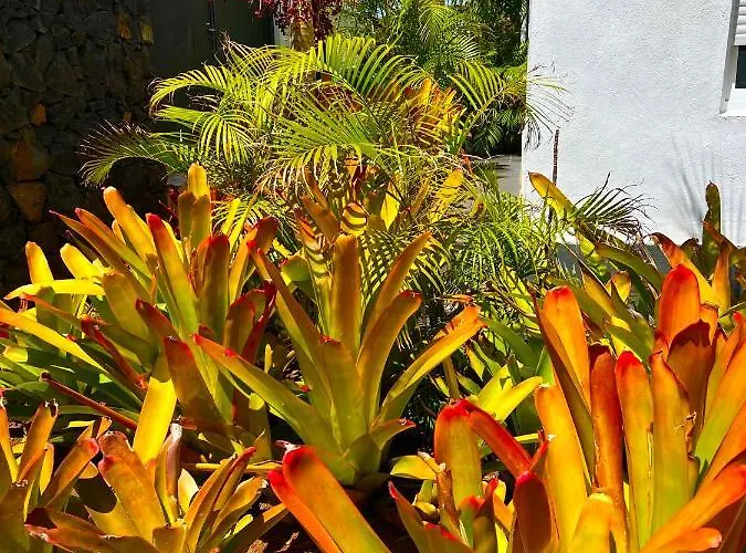 La Selvita منزل للإقامة *