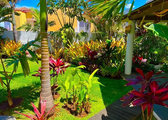 La Selvita باجامار