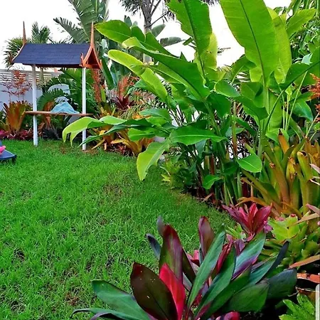 La Selvita Bajamar (La Laguna)