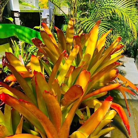 La Selvita Habitación en casa particular *