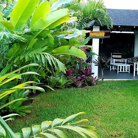 La Selvita Habitación en casa particular Bajamar (La Laguna)