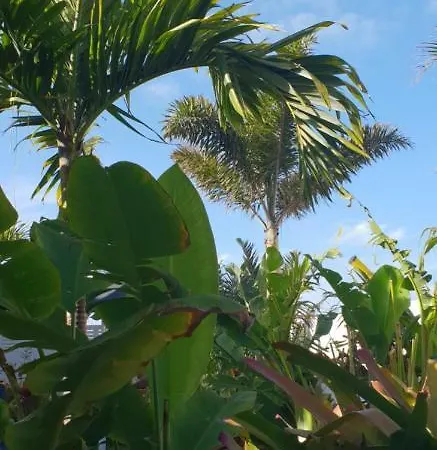 La Selvita Bajamar (La Laguna)